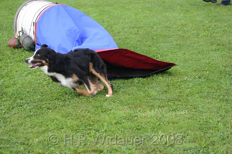 jubil.lusten. 007.jpg